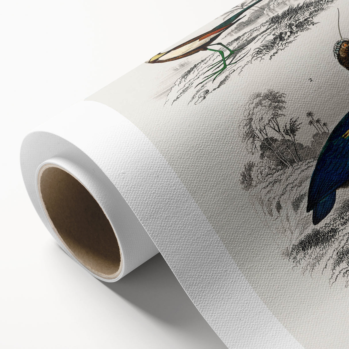 Historical Romanticism Canvas: Exotic Birds - Romantic Art Prints