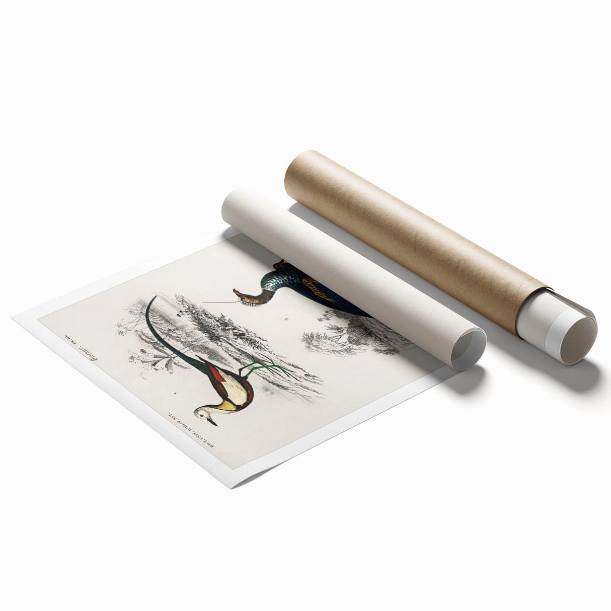 Historical Romanticism Canvas: Exotic Birds - Romantic Art Prints