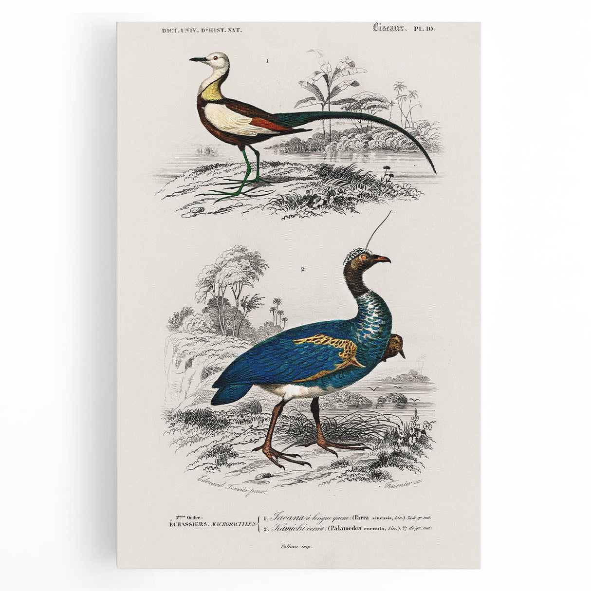 Historical Romanticism Canvas: Exotic Birds - Romantic Art Prints