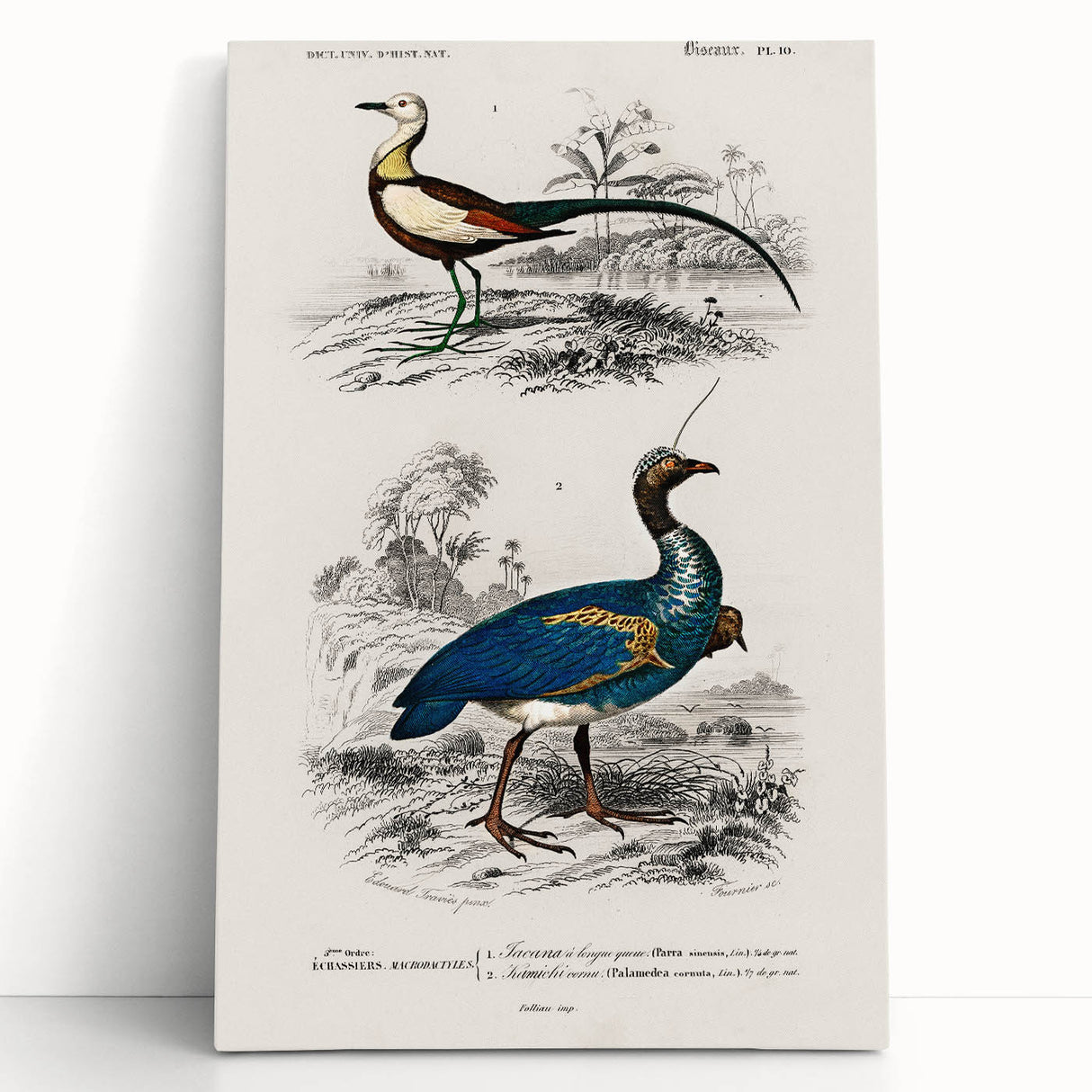 Historical Romanticism Canvas: Exotic Birds - Romantic Art Prints
