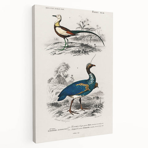 Historical Romanticism Canvas: Exotic Birds - Romantic Art Prints