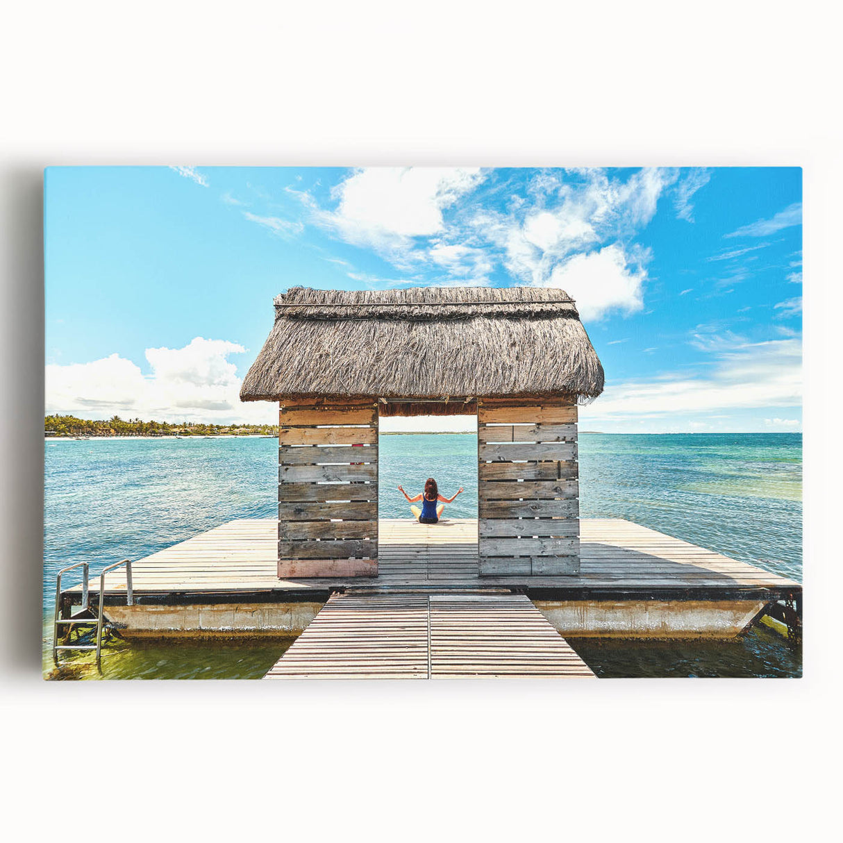 Large black and white stretched canvas of a Mauritian landscape, suitable for kitchen wall art.
