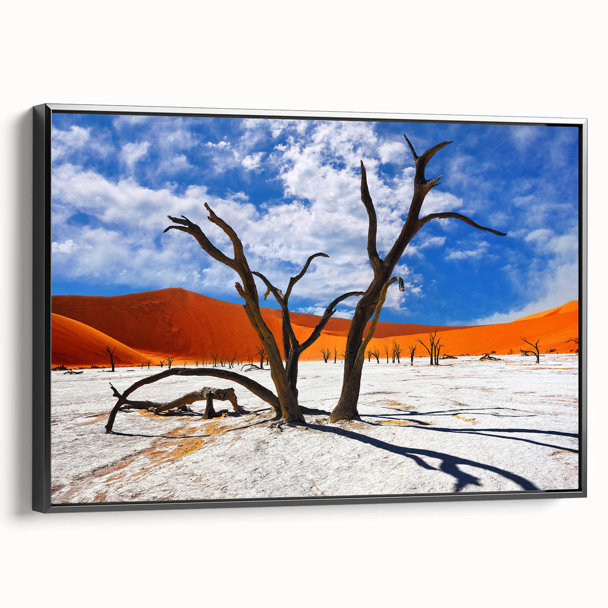 Black and white framed canvas of a Namibian landscape, ideal for bedroom wall art in a vintage poster style.