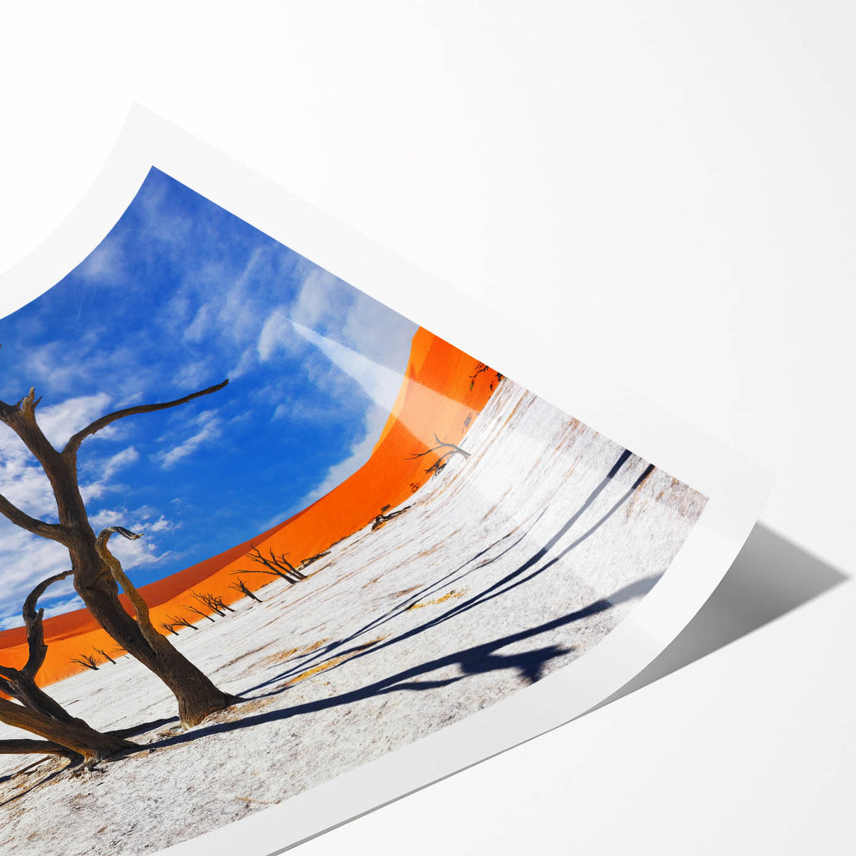 Extra large rolled print of a serene Namibian landscape in muted earth tones, suitable as large living room wall art.