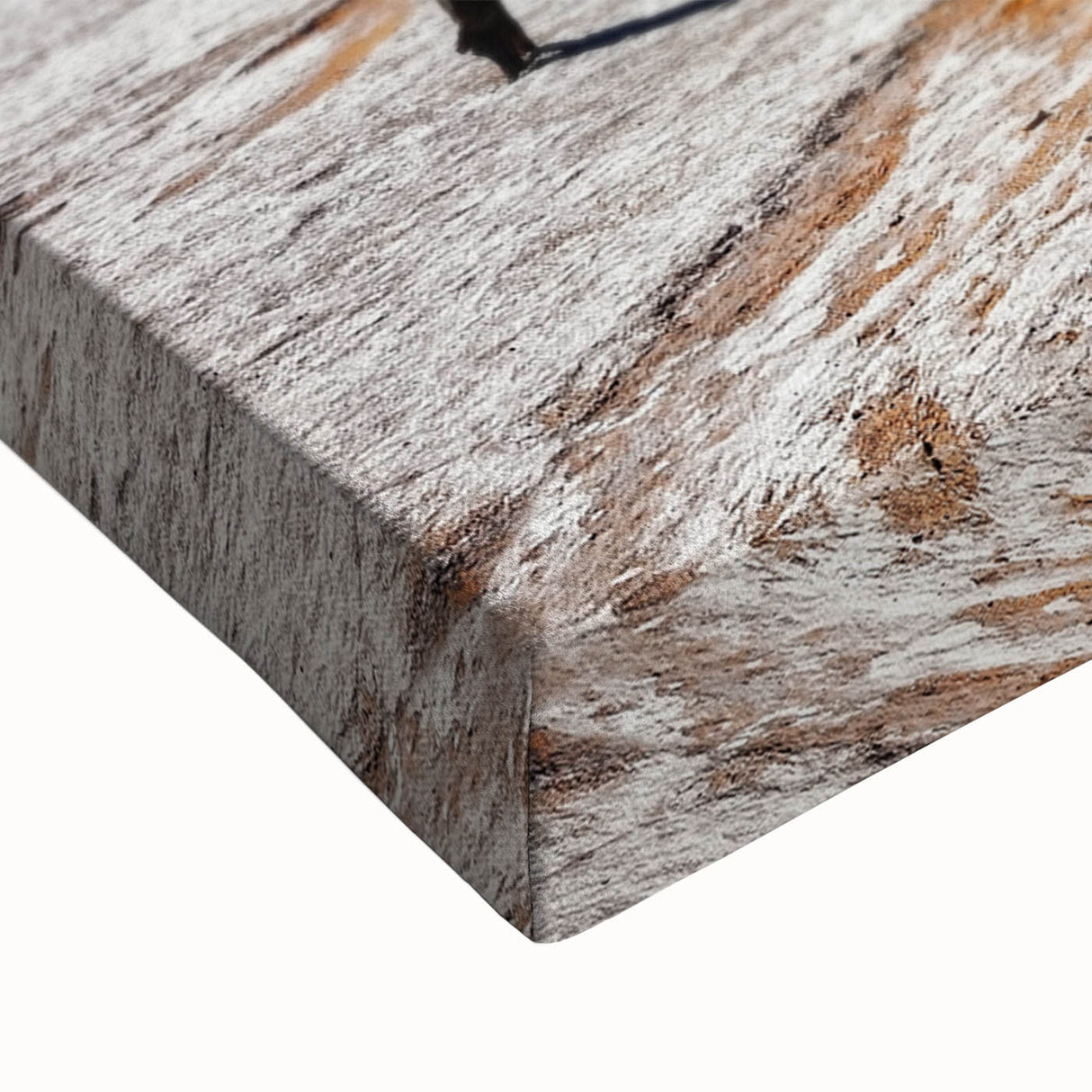 Large art of a Namibian landscape in black and white on stretched canvas, suitable for bedroom decor.