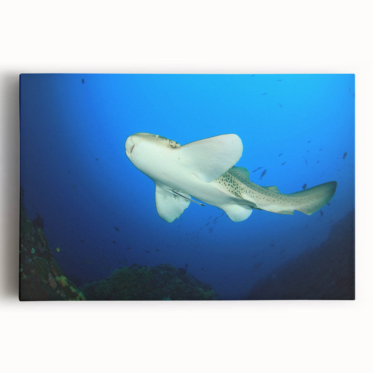 Black and white large art print of a Thai landscape on stretched canvas, ideal for kitchen wall art.