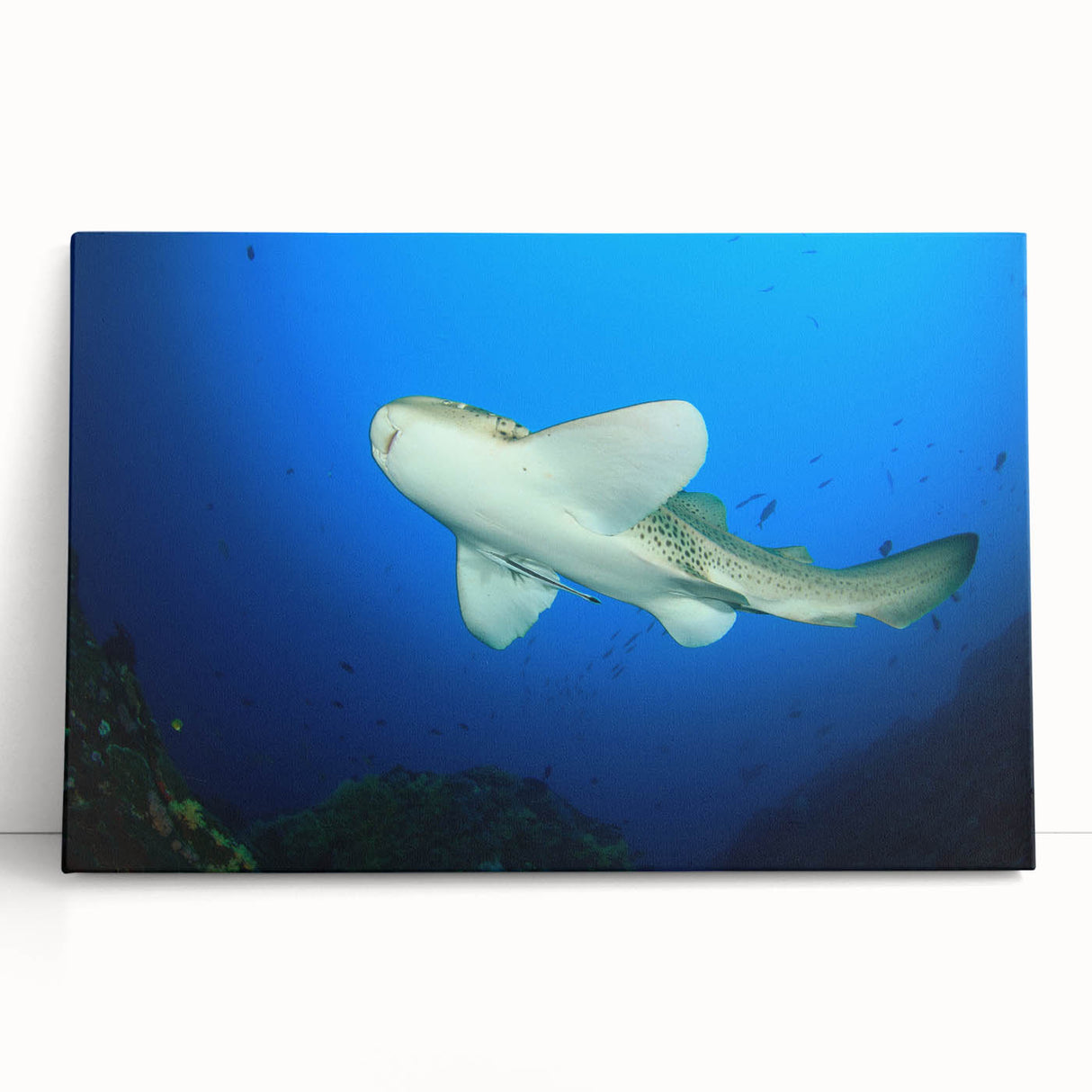 Black and white large canvas print of a serene Thai landscape, ideal for kitchen wall art or bedroom ambiance.