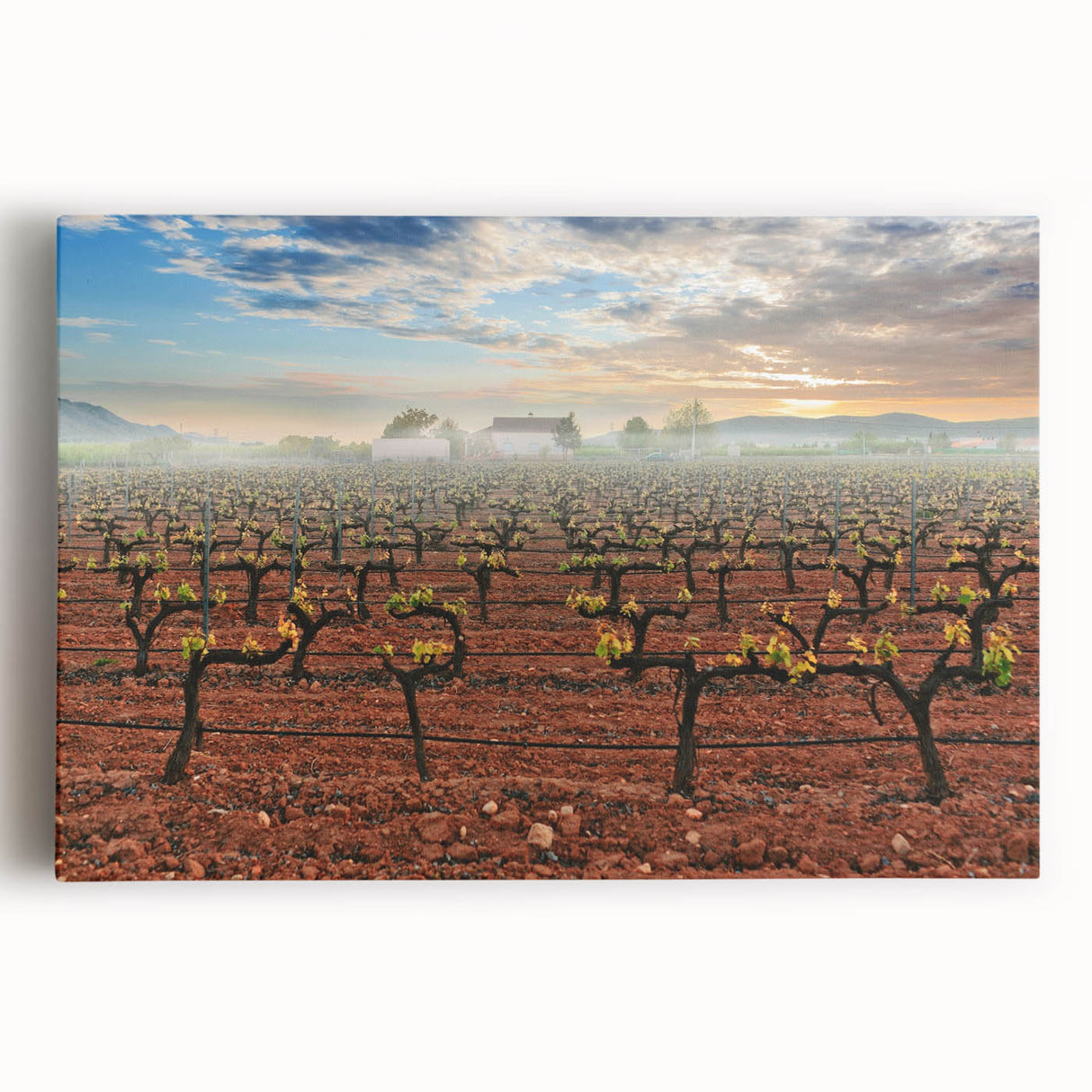 Black and white photograph of Valencia scenery on large stretched canvas, suitable for kitchen wall art.