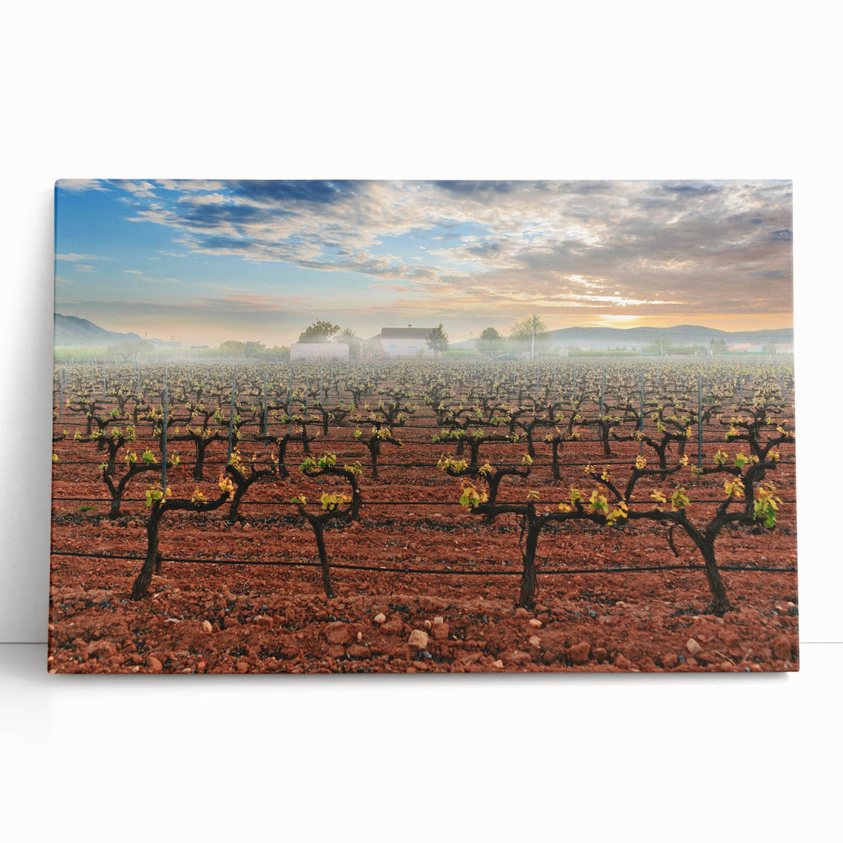 Monochrome stretched canvas of Valencia scenery, ideal for kitchen wall art or bedroom ambiance.