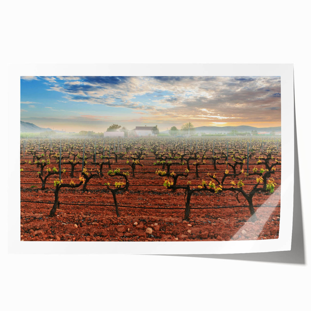 Extra large rolled print of Valencia scenery with vibrant floral elements, ideal for art wall dining room.