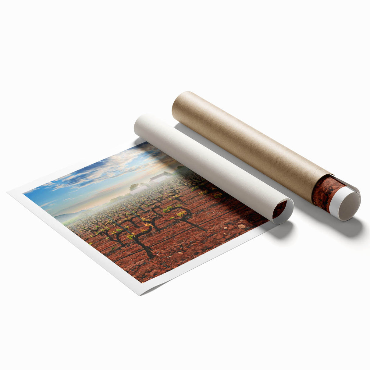 Extra large wall art depicting Valencia scenery on rolled print, featuring vibrant floral elements.