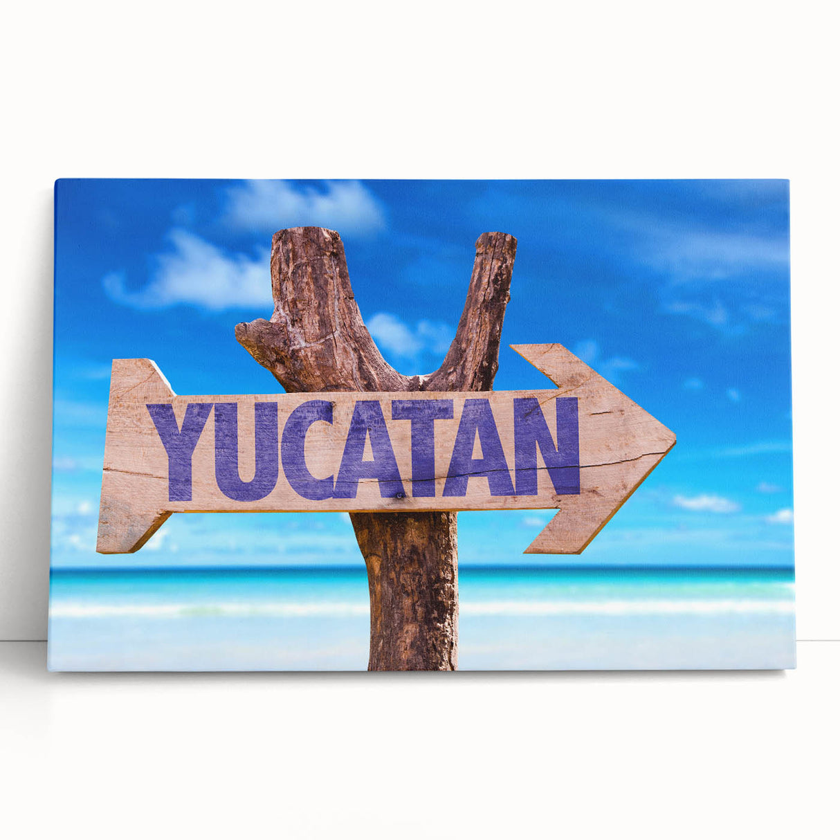 Black and white stretched canvas featuring Yucatan scenery, ideal for kitchen wall art or bedroom ambiance.