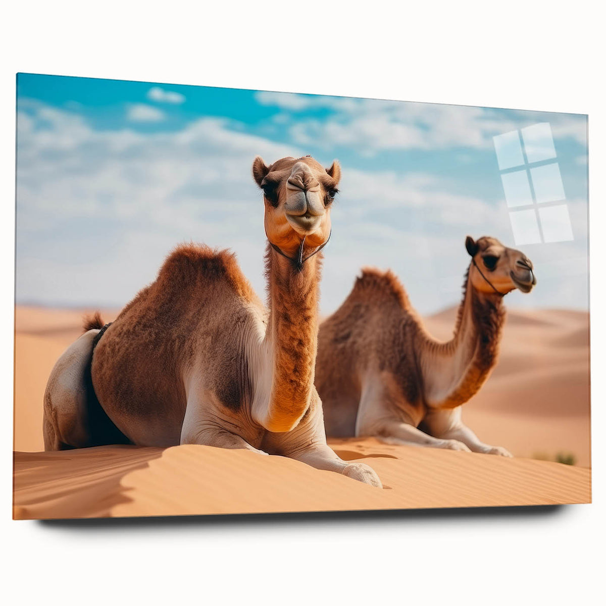 Large abstract wall art depicting a Middle Eastern scenery in muted earth tones on acrylic glass.