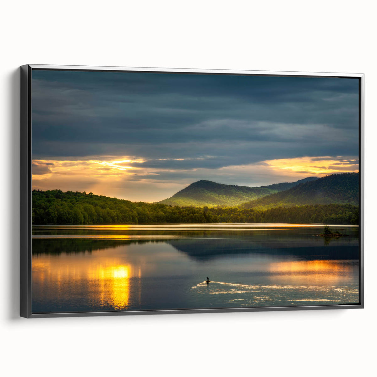 Black and white landscape art of the Adirondacks on framed canvas, suitable for bedroom decor.