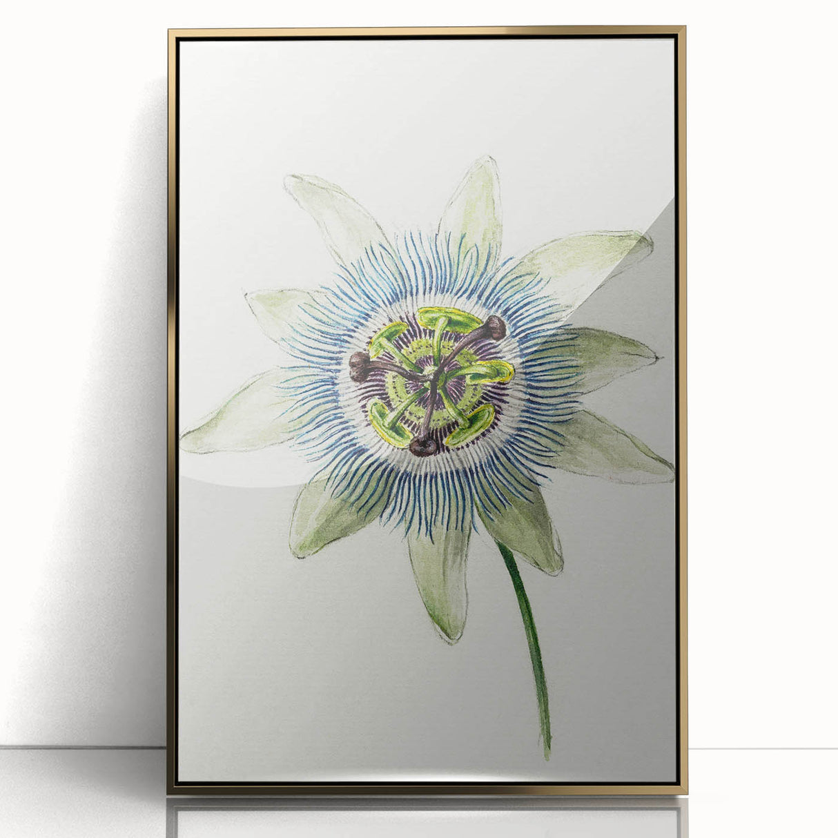 Famous Romantic Era Art: Passion Flower - Romantic Floral Canvas