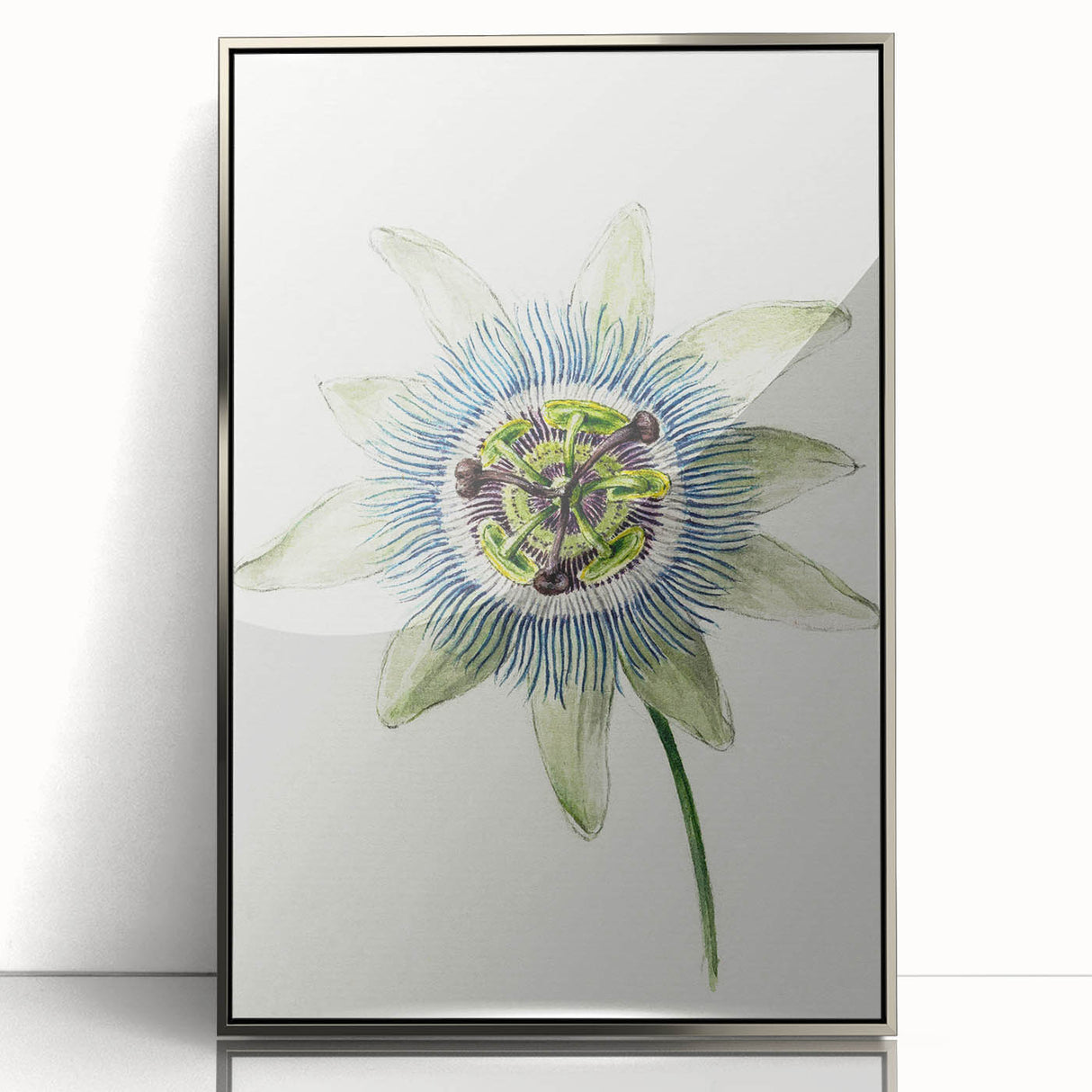 Famous Romantic Era Art: Passion Flower - Romantic Floral Canvas
