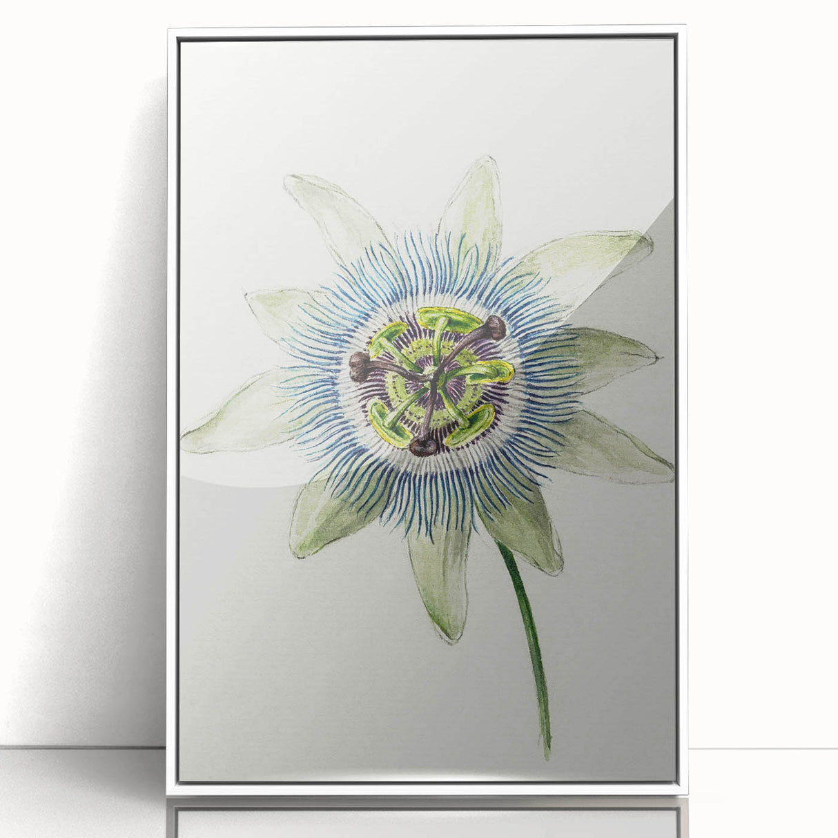 Famous Romantic Era Art: Passion Flower - Romantic Floral Canvas