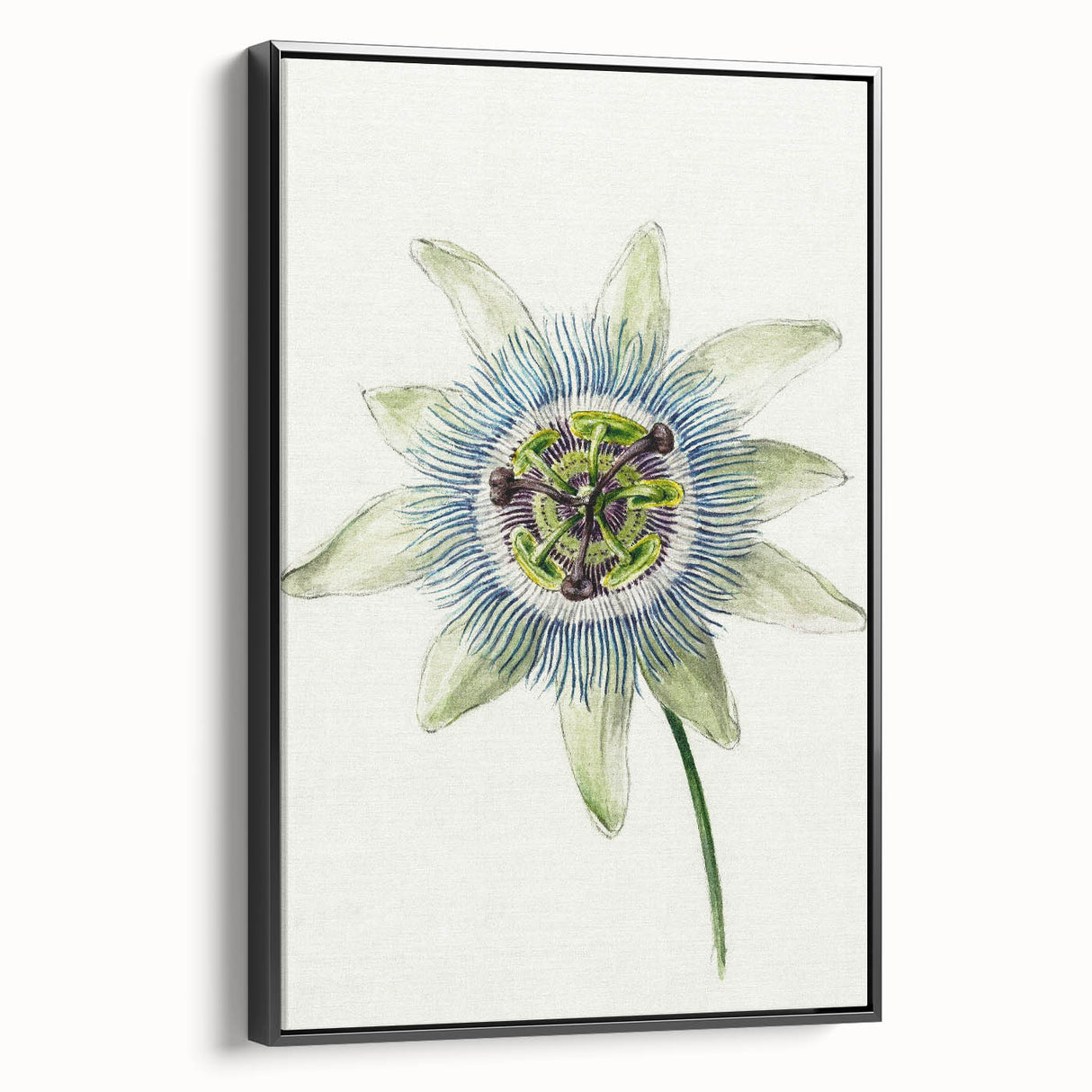 Famous Romantic Era Art: Passion Flower - Romantic Floral Canvas