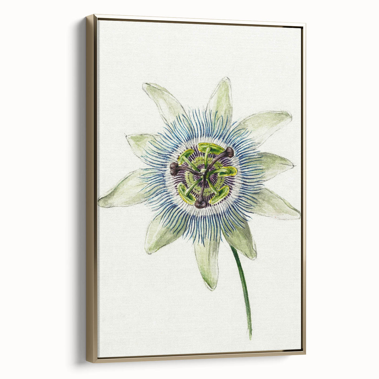 Famous Romantic Era Art: Passion Flower - Romantic Floral Canvas