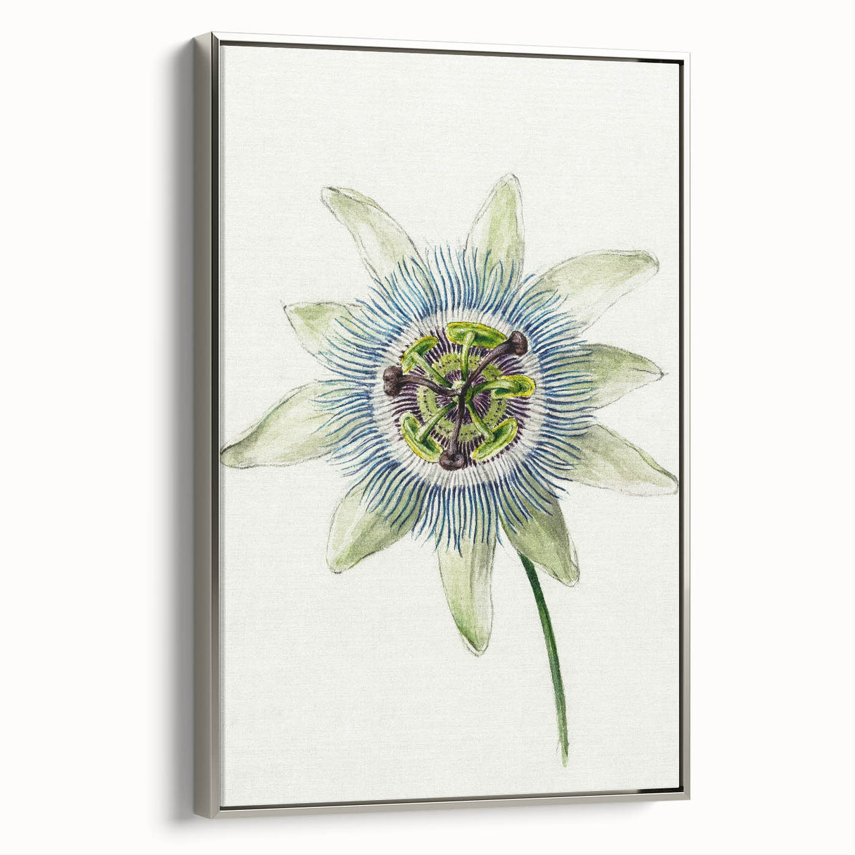 Famous Romantic Era Art: Passion Flower - Romantic Floral Canvas