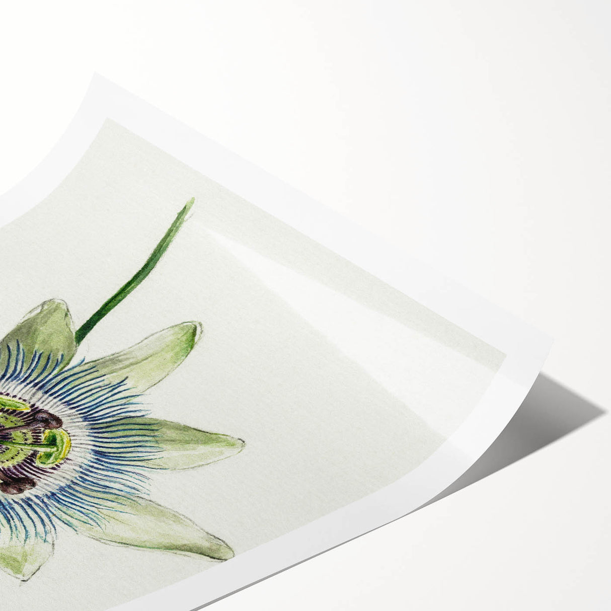 Famous Romantic Era Art: Passion Flower - Romantic Floral Canvas