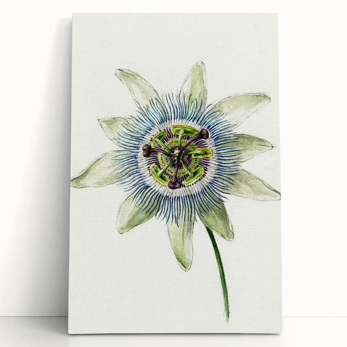 Famous Romantic Era Art: Passion Flower - Romantic Floral Canvas