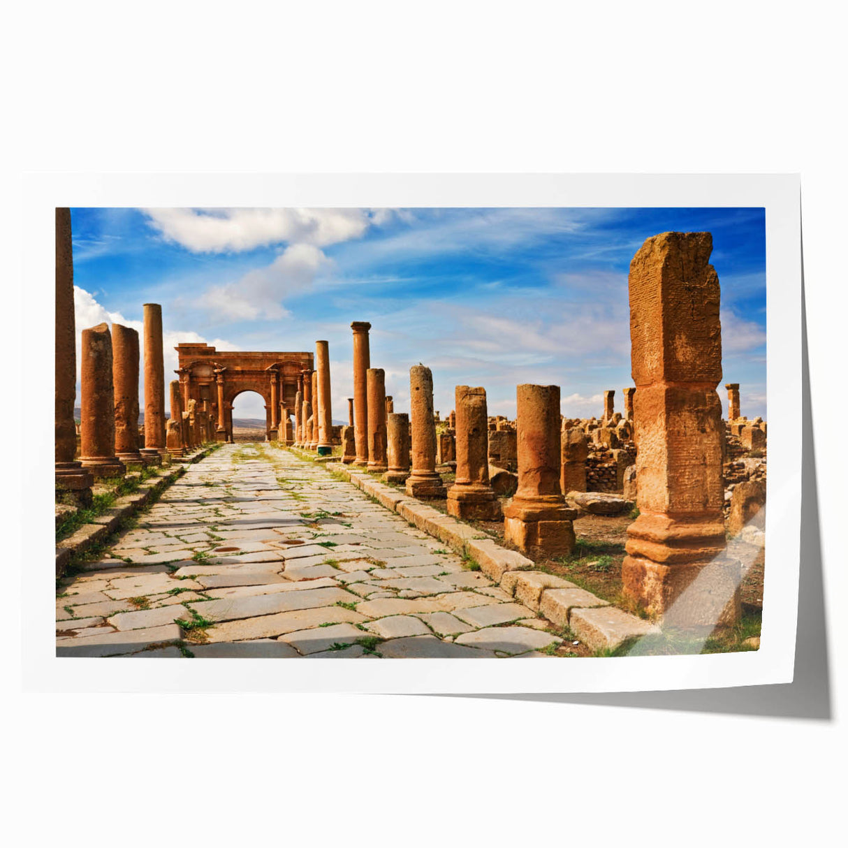 Extra large rolled print depicting a serene Algerian landscape with soft floral elements, ideal for art wall dining room.