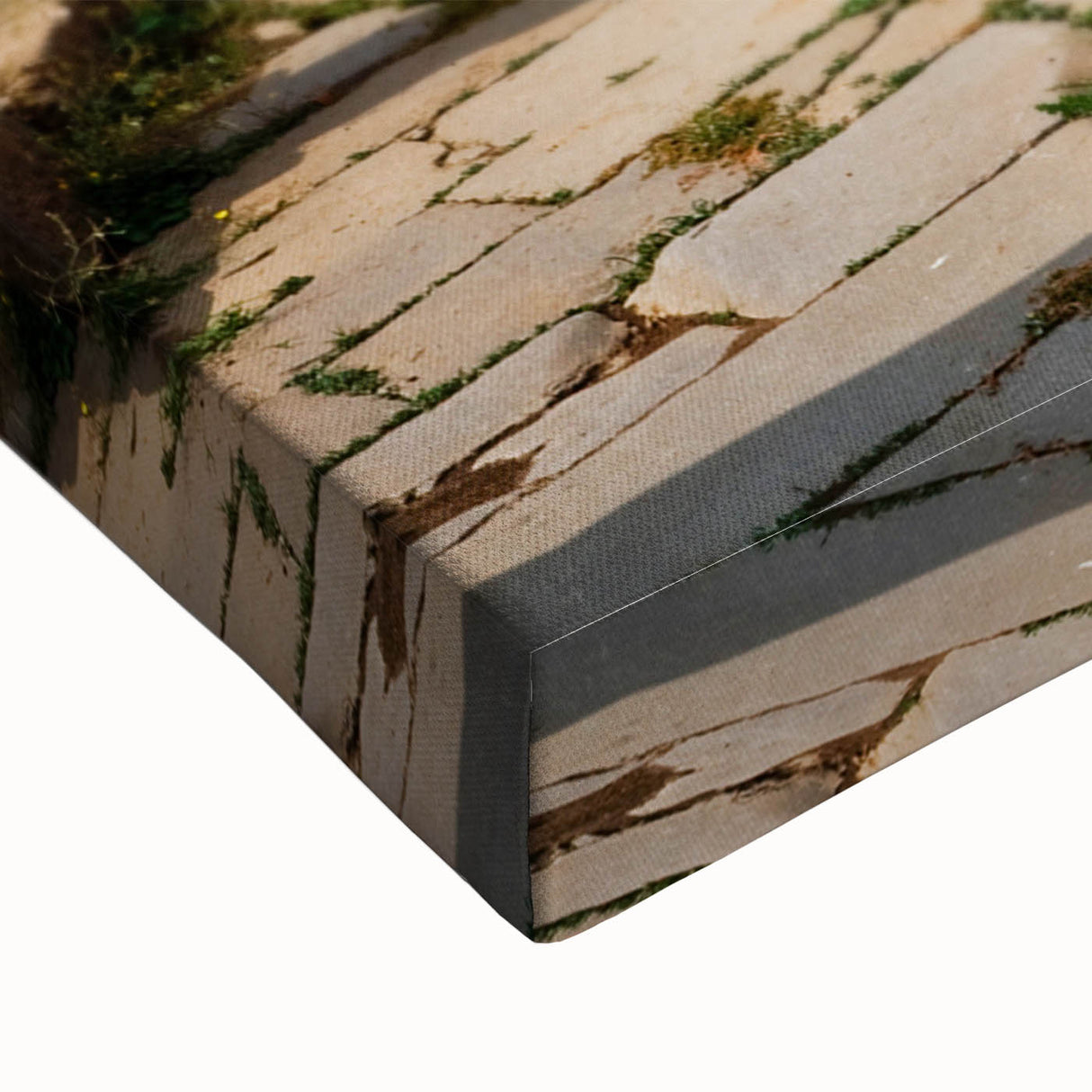 Large art depicting an Algerian landscape in black and white on stretched canvas, suitable for bedroom wall decor.