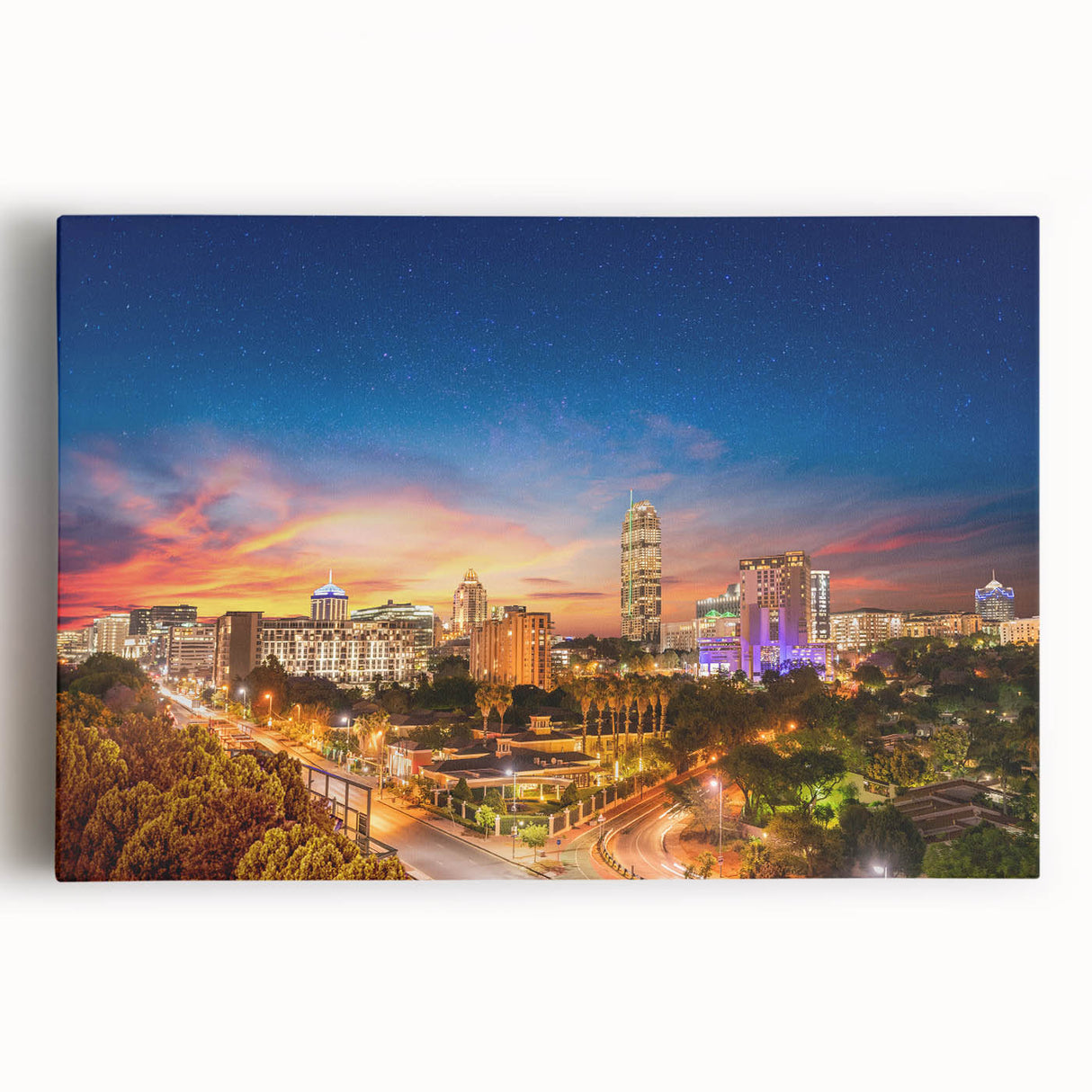 Black and white stretched canvas featuring an expansive African savannah scene, ideal for kitchen wall art.