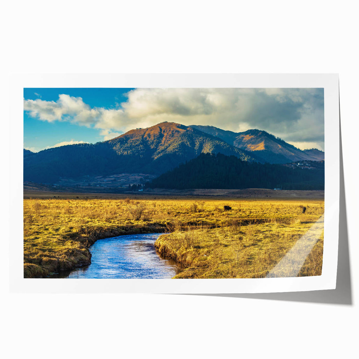 Extra large rolled print featuring a serene Bhutanese landscape with lush greenery and mountains.