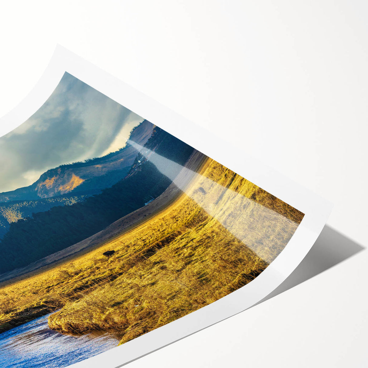 Extra large wall art featuring line art flowers in soft pastel shades on a rolled print.