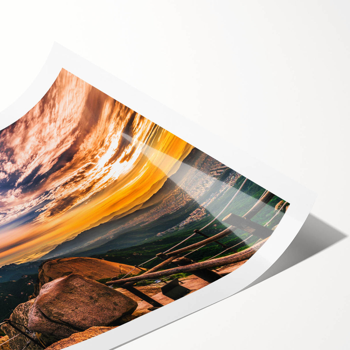 Extra large rolled print featuring line art flowers in monochrome, ideal for large living room wall art.