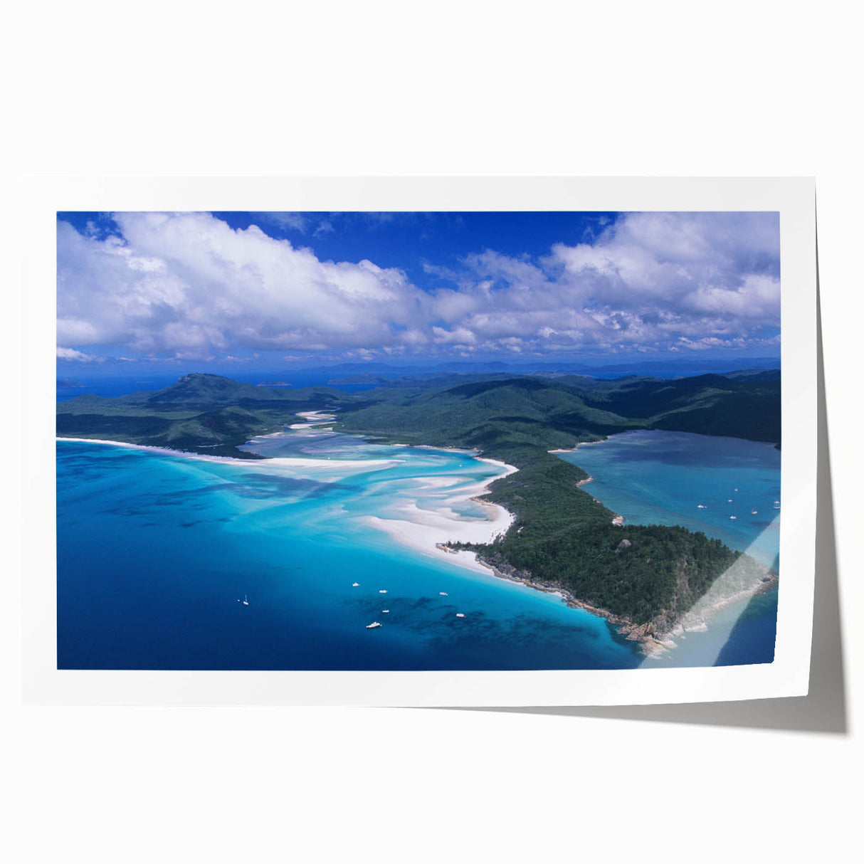 Rolled print of Queensland, Australia scenery with lush greenery and floral elements, ideal for art wall dining room.