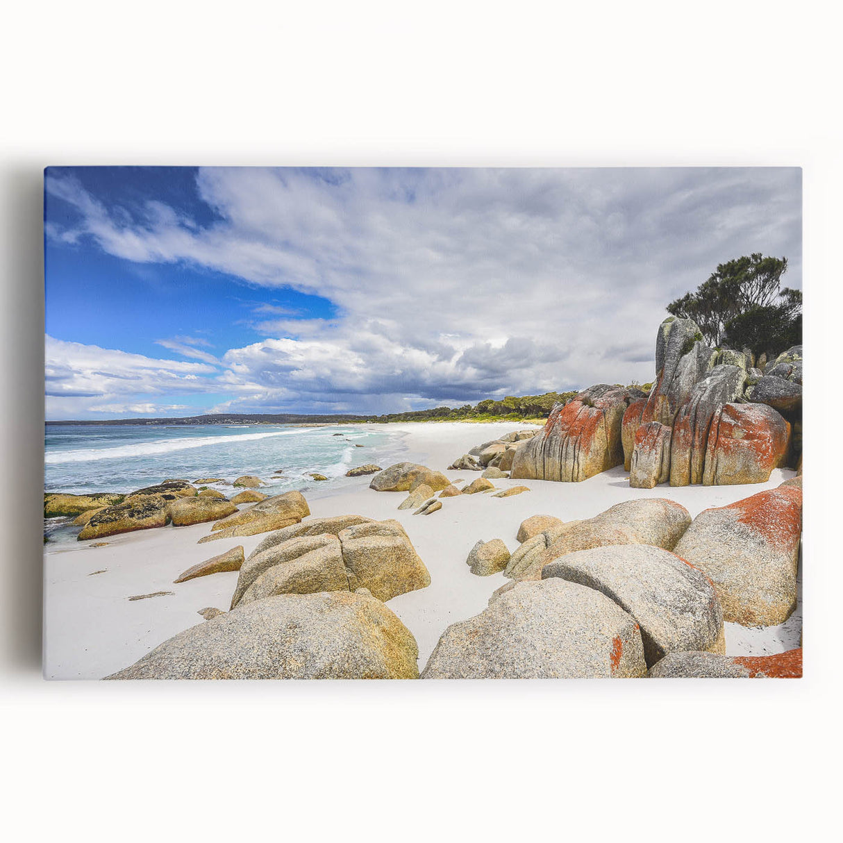 Black and white large art print of Tasmania scenery on stretched canvas.
