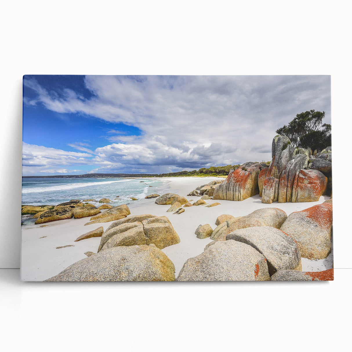 Black and white photograph of Tasmanian scenery on large stretched canvas, suitable for kitchen wall art.