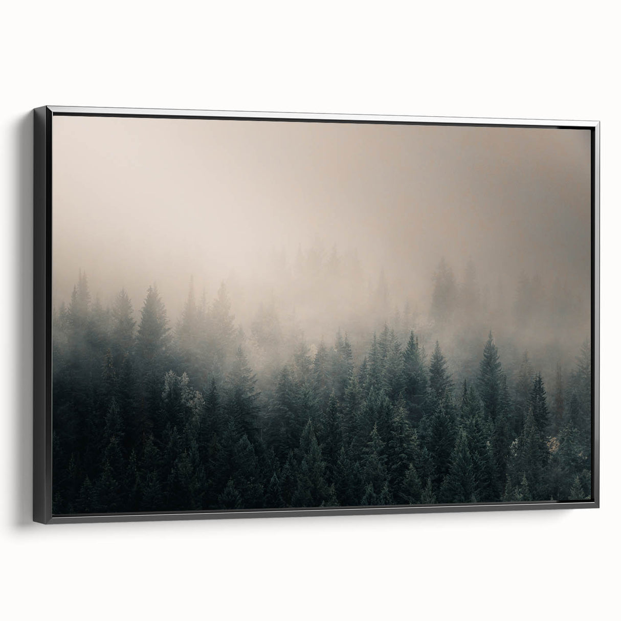 Framed canvas featuring a black and white landscape of British Columbia, ideal for bedroom wall decor.