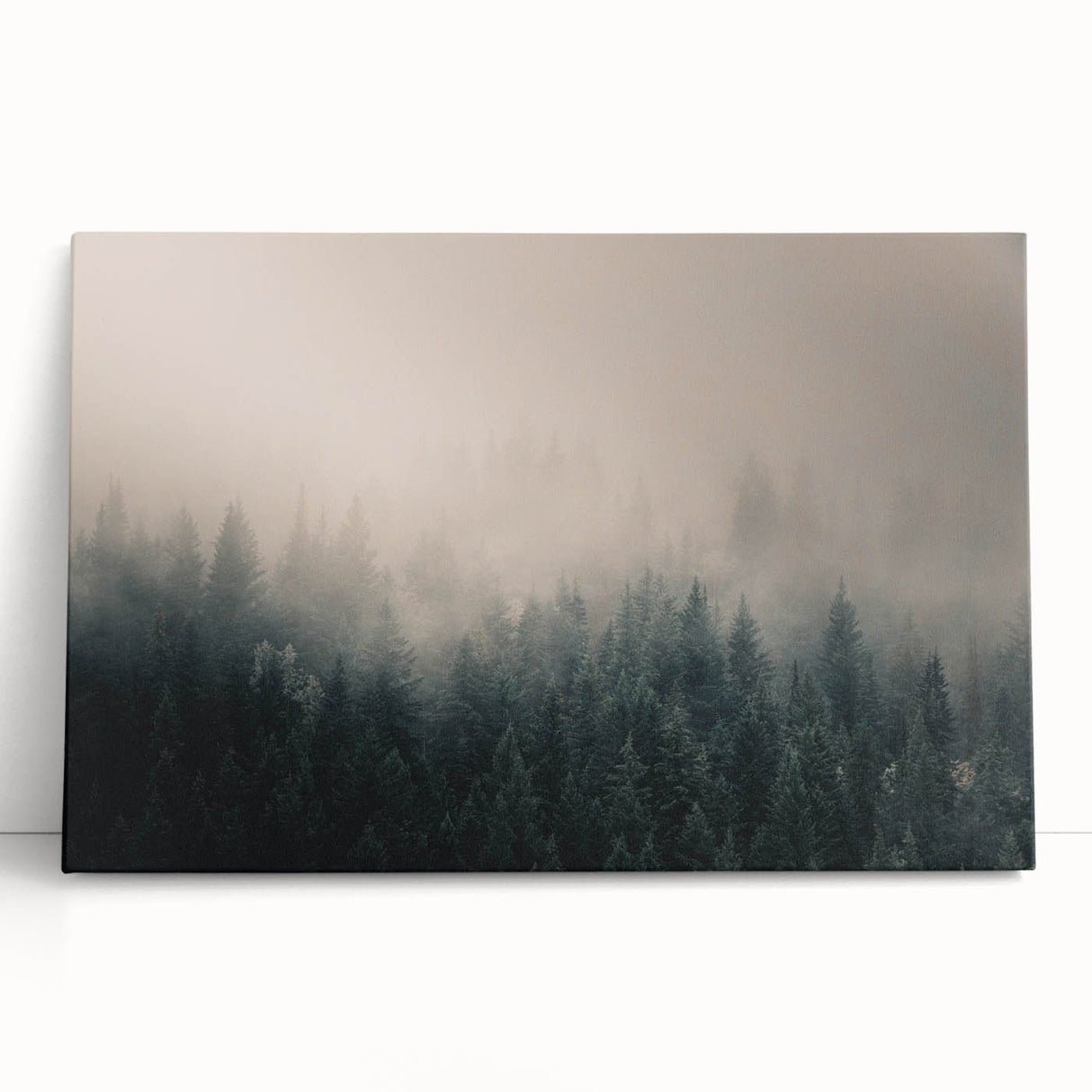 Black and white photo of British Columbia scenery on stretched canvas, suitable for kitchen wall art or bedroom ambiance.