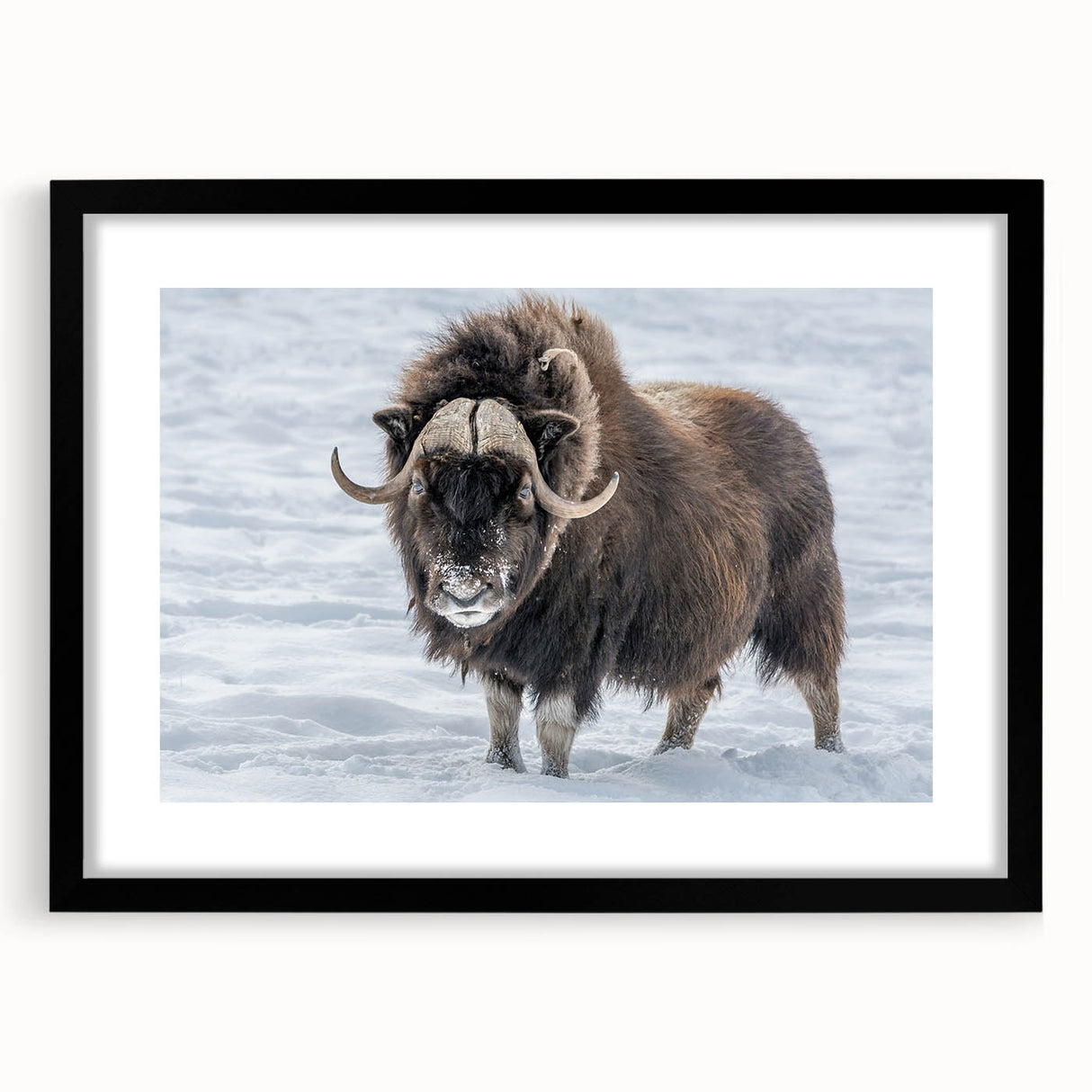 Extra large, textured abstract art print depicting colorful Northwest Territories scenery, framed in black.