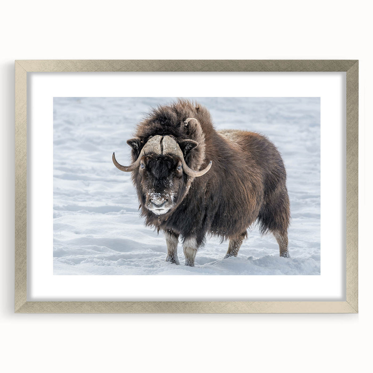 Textured abstract art print depicting the Northwest Territories, in muted earth tones, framed with a silver mat.