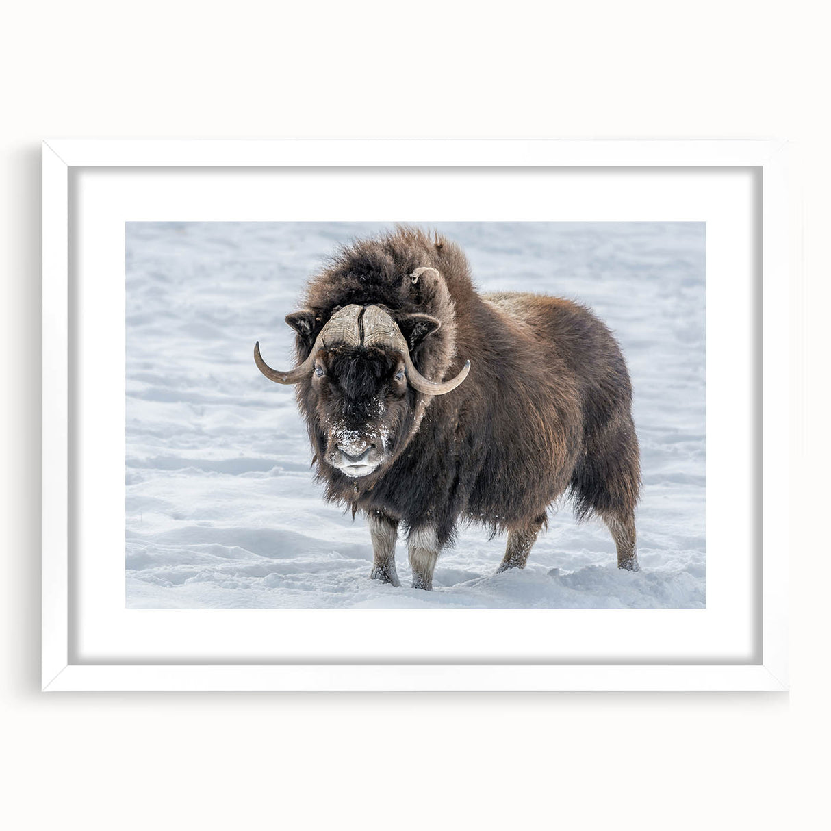 Abstract art print of Northwest Territories scenery in muted blue and green tones on a white framed canvas.