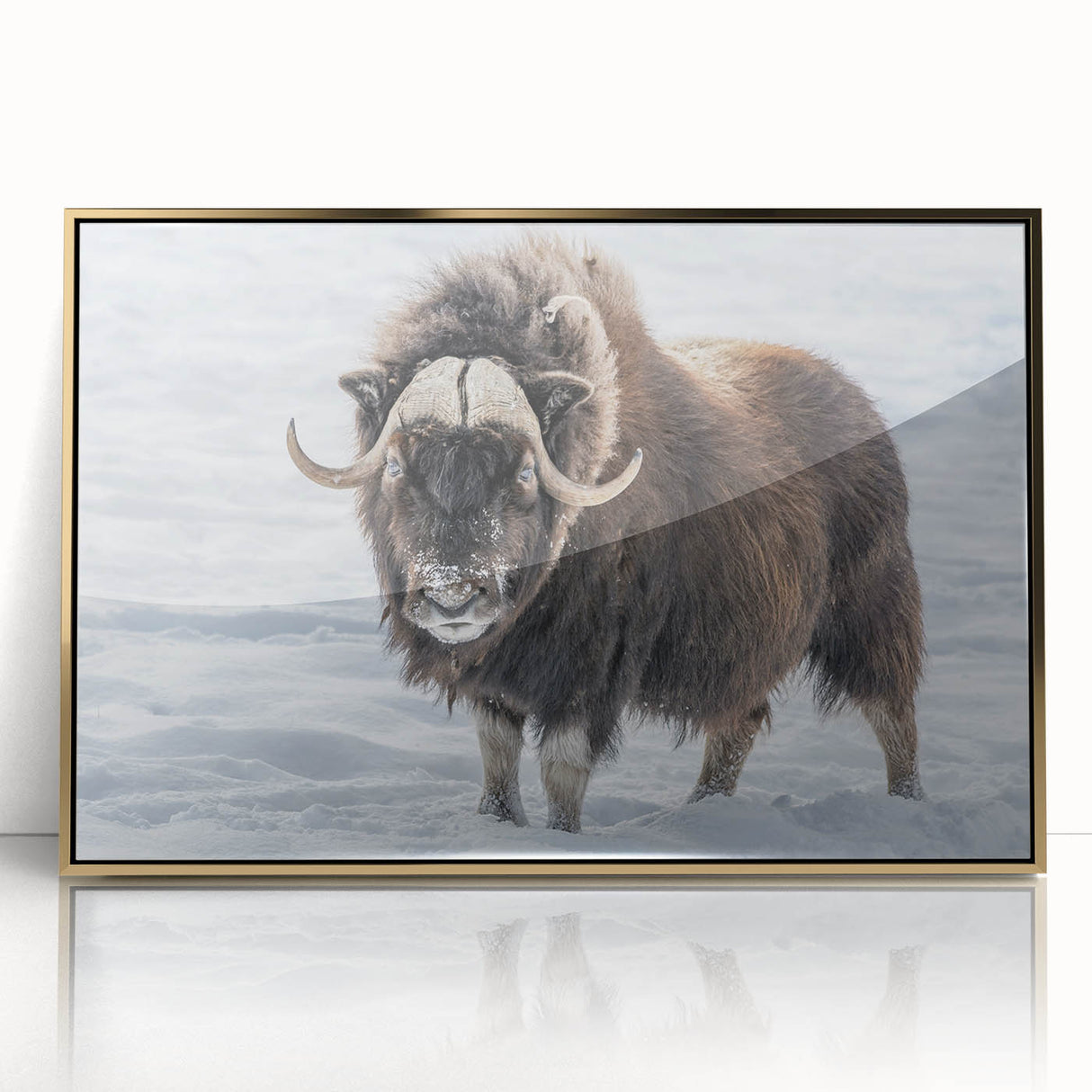 Framed acrylic print of Northwest Territories scenery in gold tones, ideal for modern art wall decor.