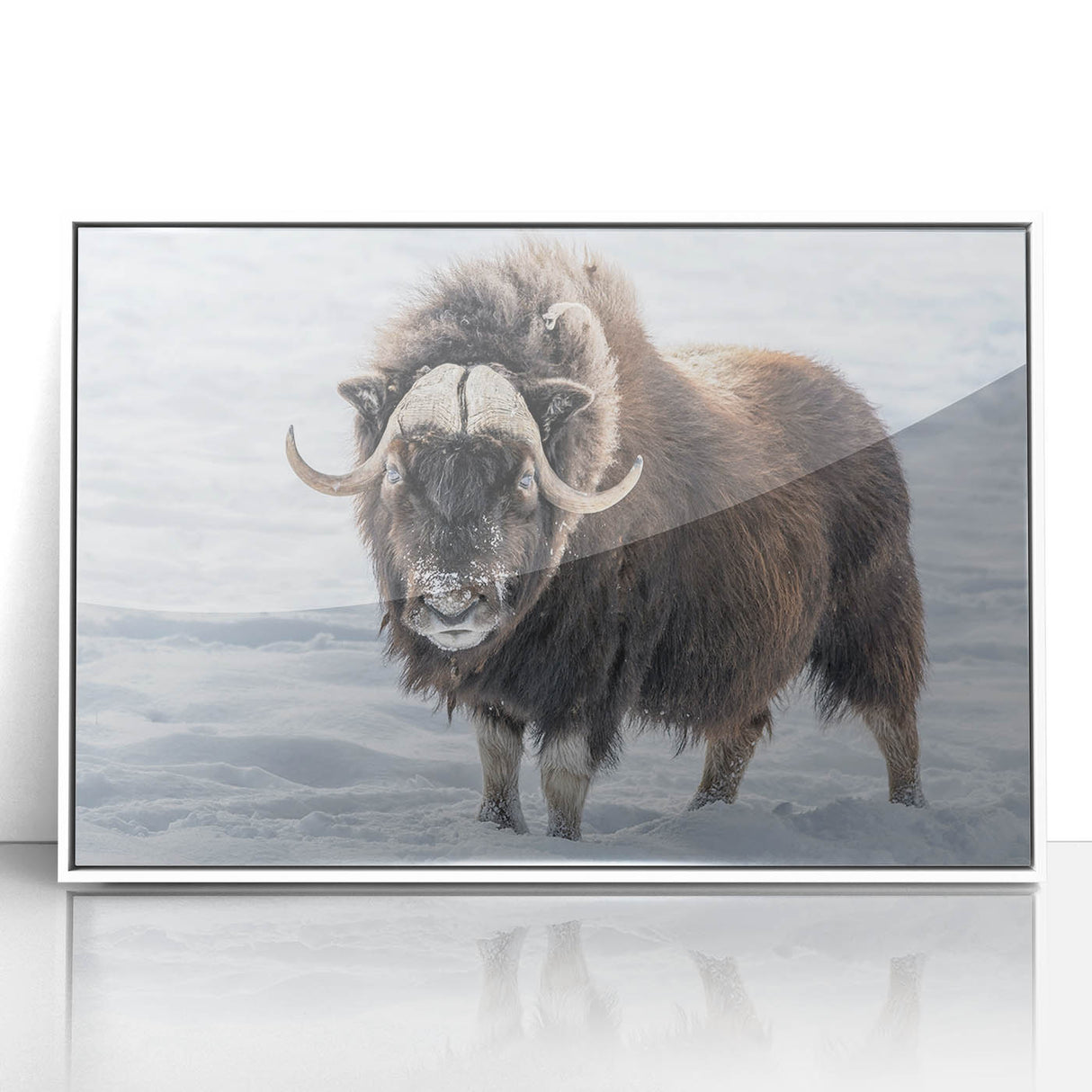 Art deco poster of Northwest Territories scenery in muted green and white tones, framed acrylic.