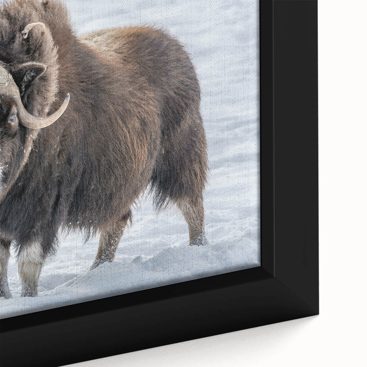 Close-up of extra large, textured black wall art depicting colorful Northwest Territories scenery on a framed canvas.