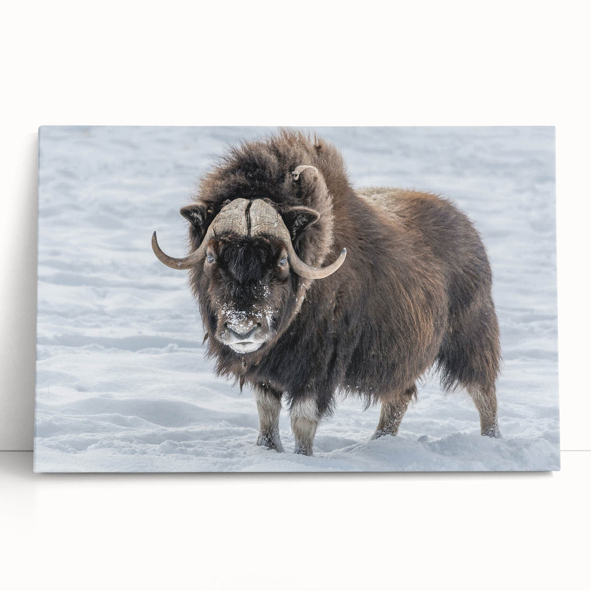 Black and white canvas print of Northwest Territories scenery, ideal for kitchen wall art or bedroom ambiance.