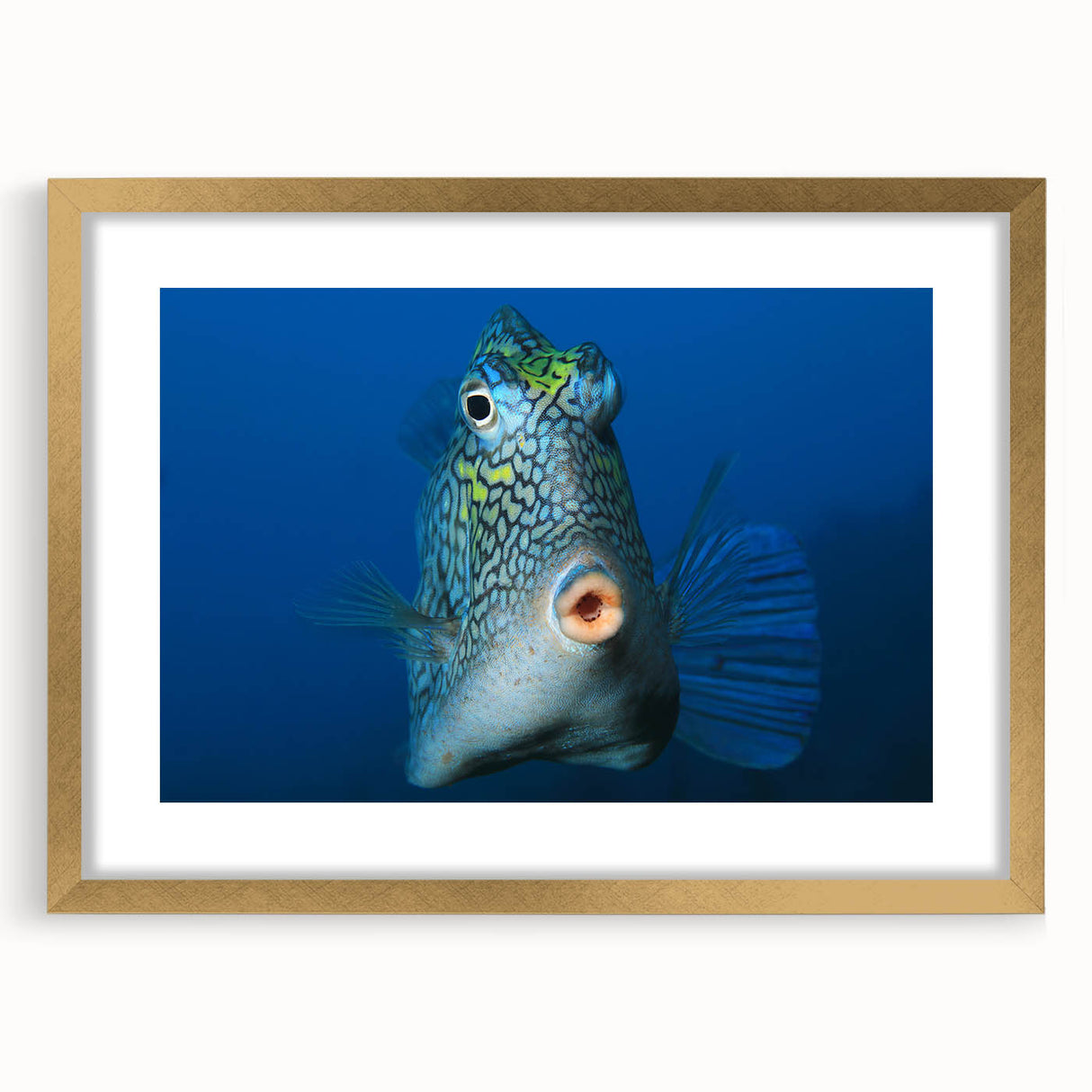 Abstract art print of a Caribbean scenery in gold frame, ideal for dining room decor.