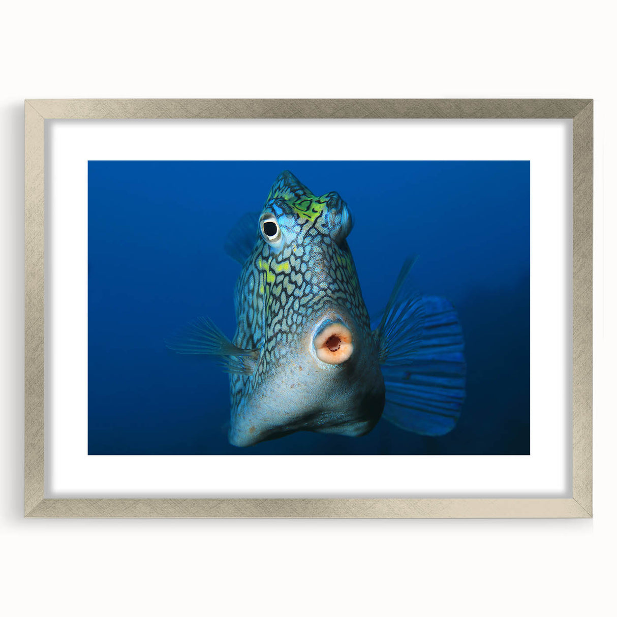 Extra large abstract art print of Caribbean scenery in muted blue and green, framed with a silver mat.