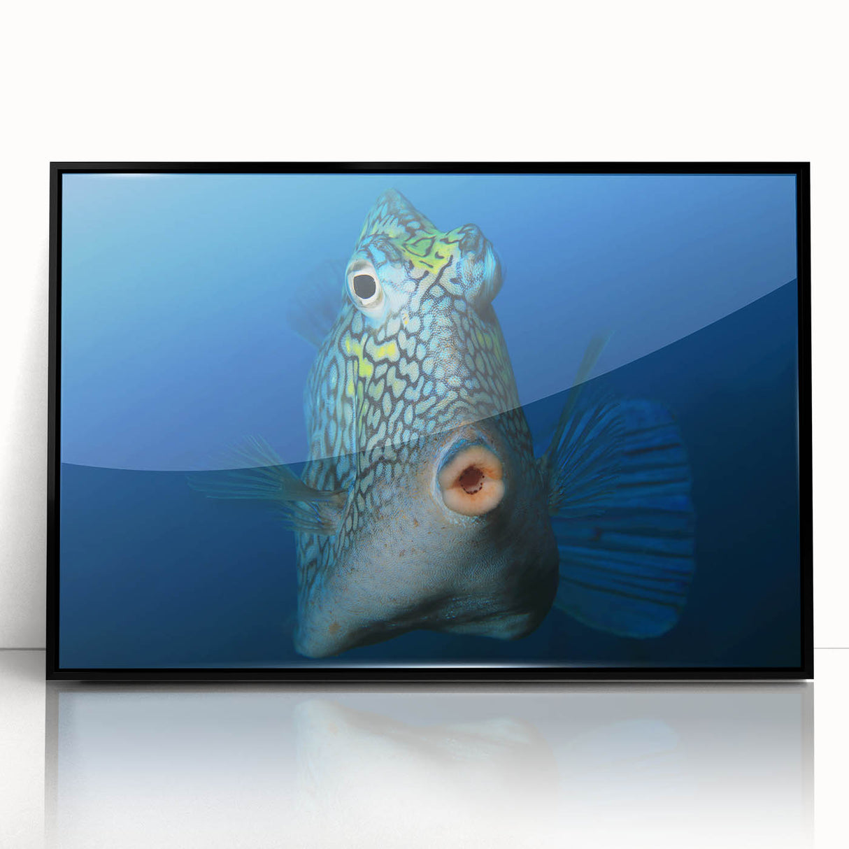 Large abstract wall art of Caribbean Aruba scenery in muted blue and green tones on framed acrylic.