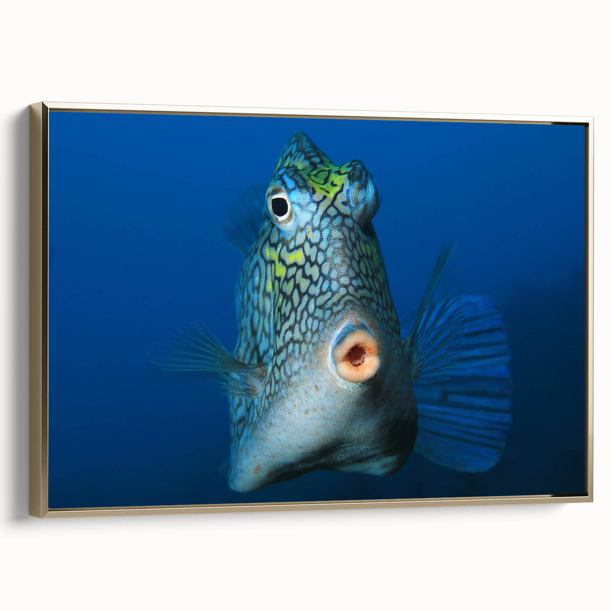 Framed canvas of a vintage poster art depicting a Caribbean Aruba scenery with a gold frame, ideal for living room decor.