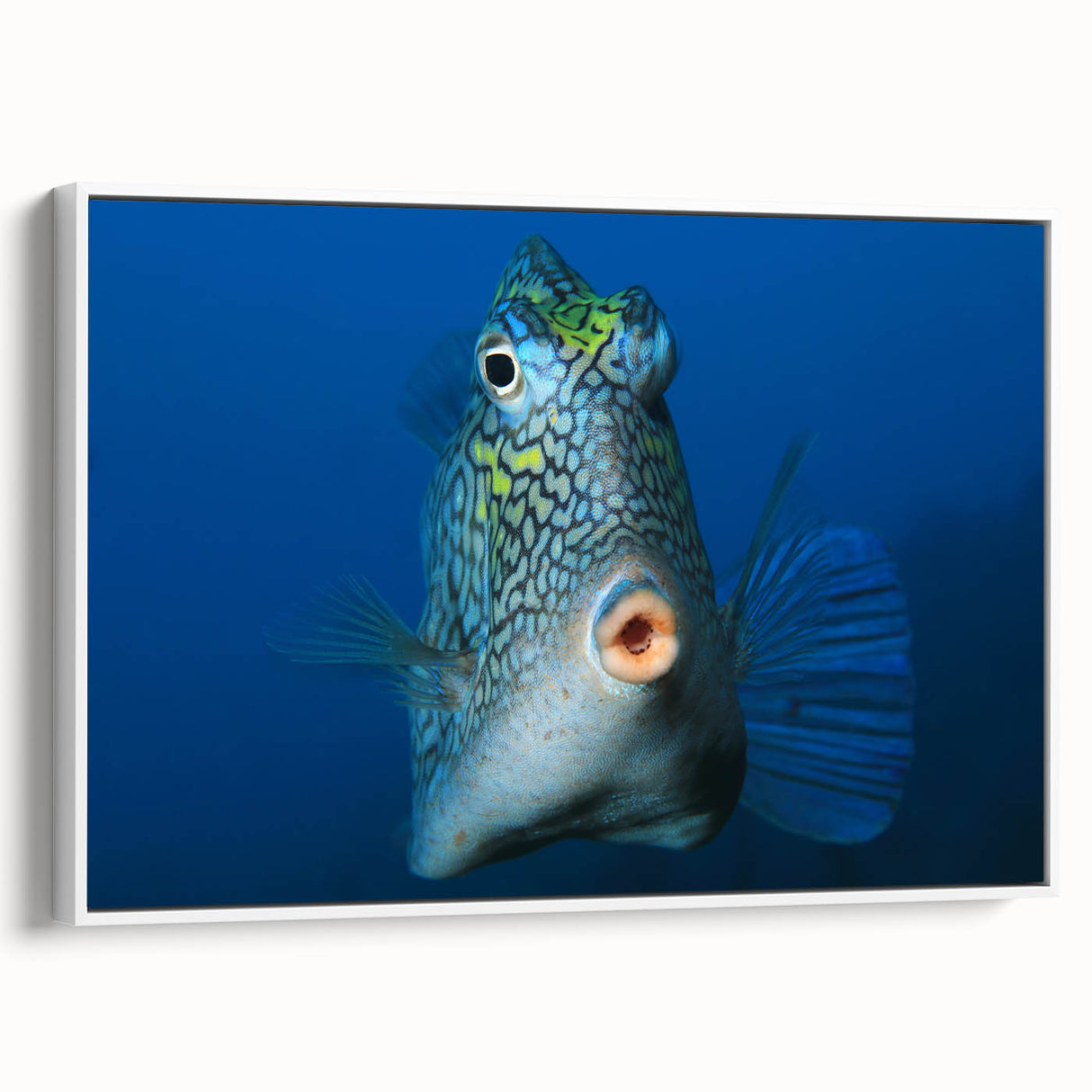 Framed canvas of a vintage-style Caribbean landscape with vibrant blue and green tones.