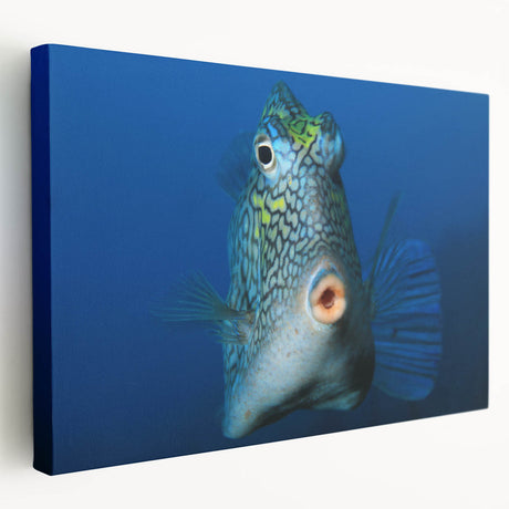 Panoramic Caribbean beach scene on stretched canvas, featuring vivid blue and turquoise waters, ideal for kitchen wall art.